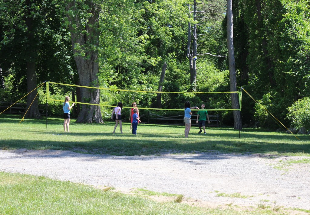 steep hill volley ball web