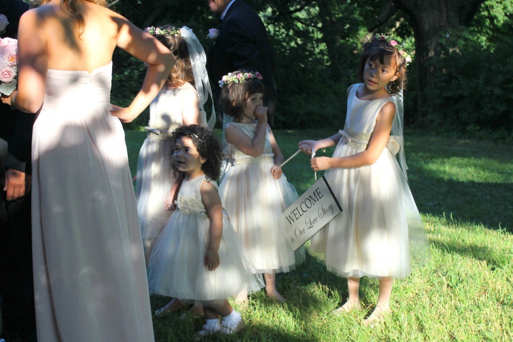 junior bridesmaids many flower girls